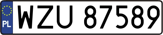 WZU87589