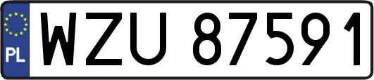 WZU87591