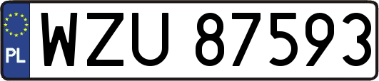 WZU87593
