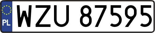 WZU87595