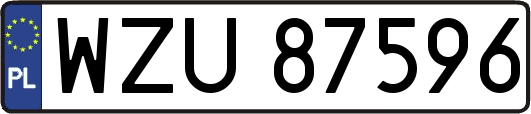 WZU87596