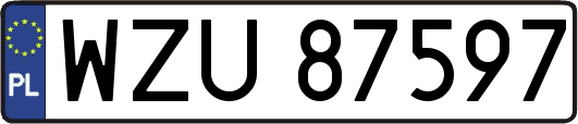 WZU87597