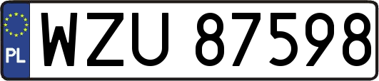 WZU87598