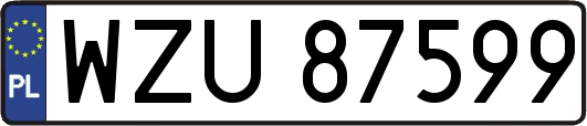 WZU87599
