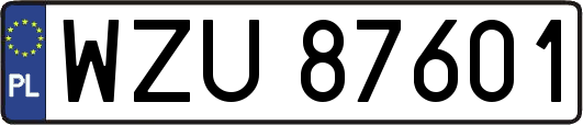 WZU87601
