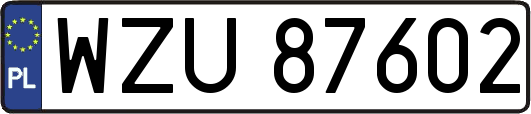 WZU87602