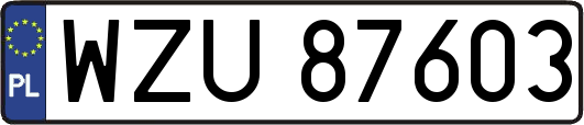 WZU87603
