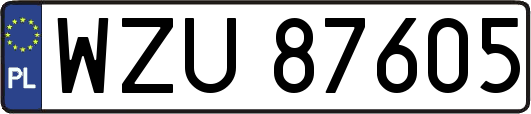 WZU87605