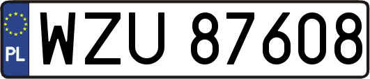 WZU87608