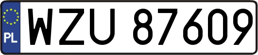 WZU87609