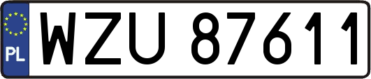 WZU87611