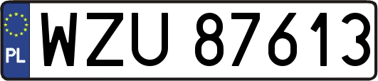 WZU87613