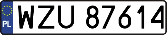 WZU87614