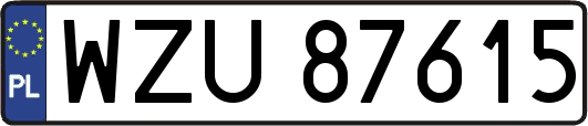 WZU87615