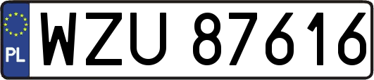 WZU87616
