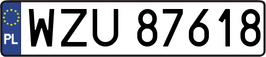 WZU87618