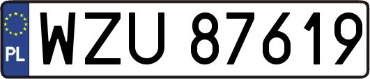 WZU87619