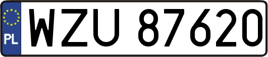 WZU87620