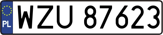 WZU87623