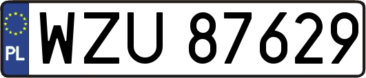 WZU87629