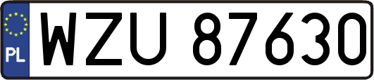 WZU87630