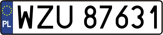 WZU87631