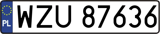 WZU87636