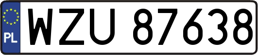 WZU87638