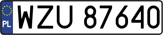 WZU87640