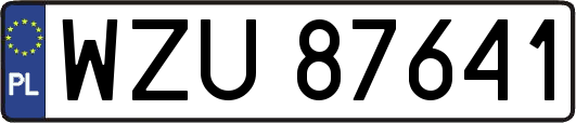 WZU87641