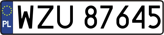 WZU87645