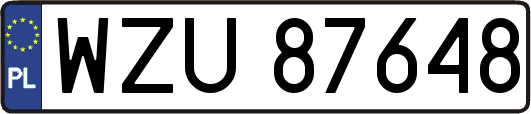 WZU87648