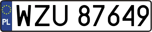WZU87649