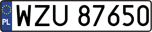 WZU87650