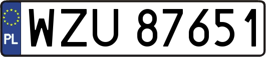 WZU87651