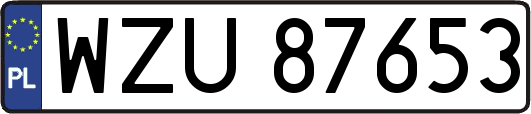 WZU87653