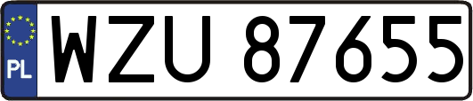 WZU87655