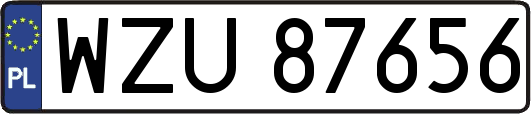 WZU87656
