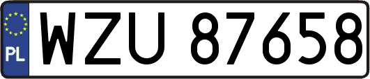 WZU87658