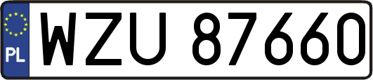 WZU87660