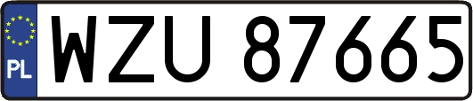 WZU87665