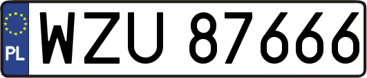 WZU87666