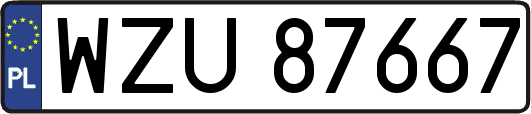 WZU87667