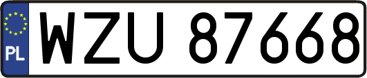 WZU87668