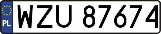 WZU87674