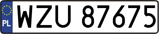 WZU87675