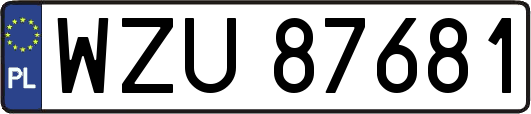 WZU87681