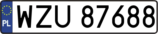 WZU87688