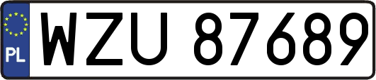 WZU87689