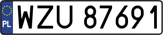 WZU87691